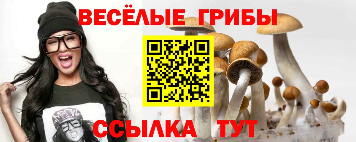 Галлюциногенные грибы Cubensis Краснокаменск